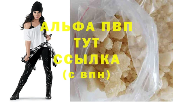 крисы Мегион