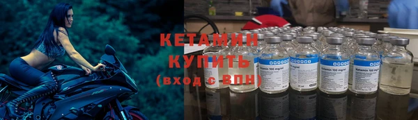 крисы Мегион