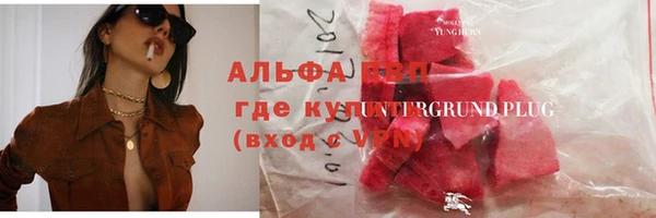 крисы Мегион