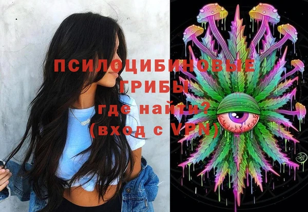 крисы Мегион