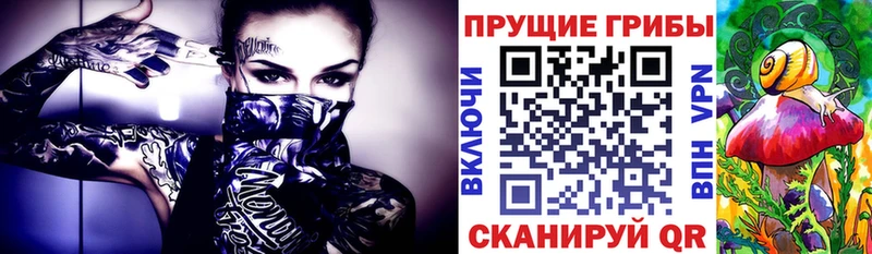 Псилоцибиновые грибы Psilocybe  закладка  Мосальск 